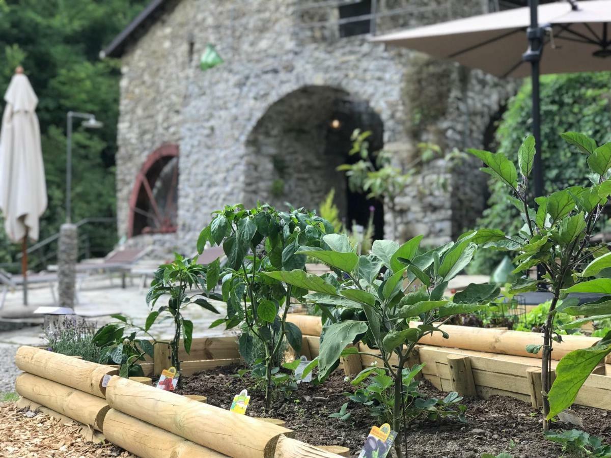 Villa Old Mill Pigna Esterno foto